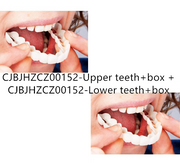 Upper and Lower teeth set